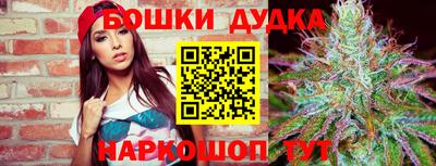 индика Абакан