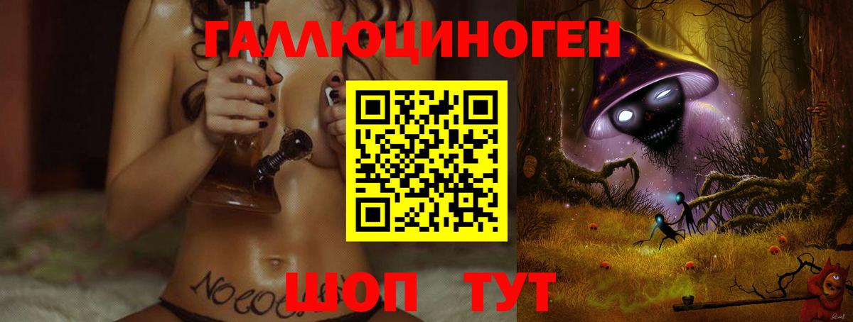 Псилоцибиновые грибы Psilocybine cubensis Александров